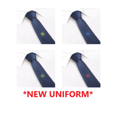 BCHS House Colour Tie